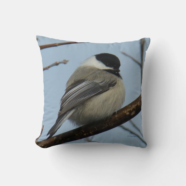 Coussin Mésange à tête noire B21 (Recto)