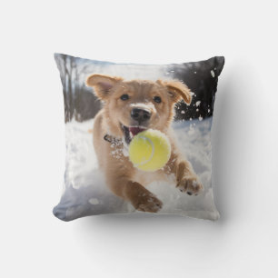 Coussin 🐕 mignon chiot avec balles de tennis dans ❄️ neig