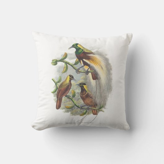 Coussin mignon pour oiseaux (Recto)
