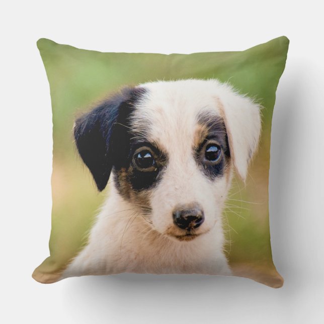 Coussin Mignon Pu (Recto)