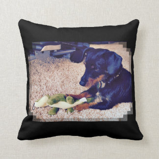 Coussin Milles - Hobie - teckel X