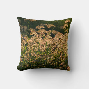 Coussin Millet sauvage (Panicum Sp.) poussant dans une zon