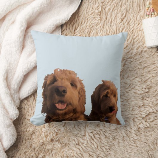 Coussin Mini Goldendoodles (Couverture)