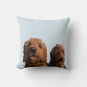Coussin Mini Goldendoodles (Recto)