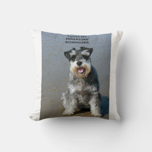 Coussin mini schnauzer-love w pic