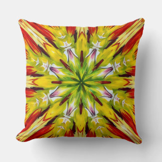 Coussin Minto