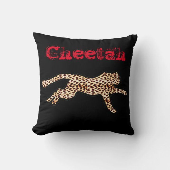 COUSSIN MISSOURI (Recto)