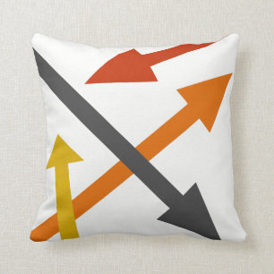 Coussin Mod Direction2