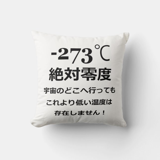 Coussin Moins 273 (Recto)