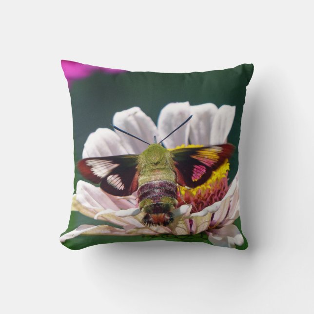 Coussin Mois des colibris (Recto)
