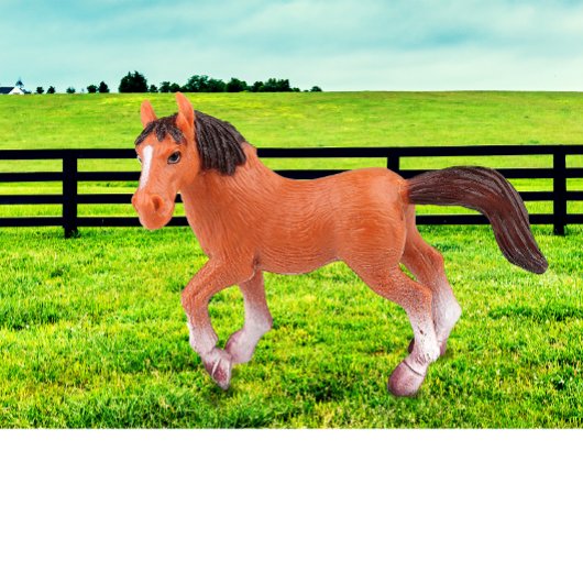 Coussin Mon cheval favori