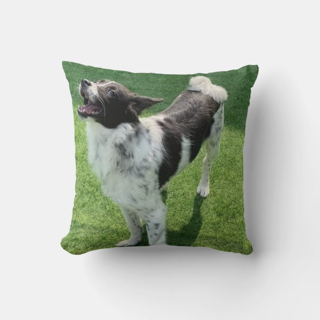 Coussin Mon chien (Recto)