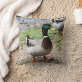 Coussin Monsieur Canard (Couverture)