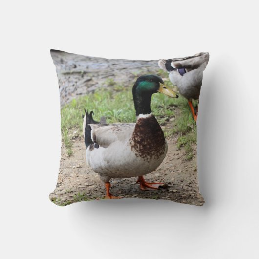 Coussin Monsieur Canard (Recto)