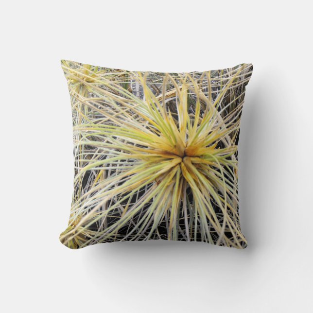 Coussin Montre De L'Herbe Spinifex (Recto)