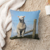 COUSSIN MOQUETTE (Couverture)