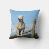 COUSSIN MOQUETTE (Verso)