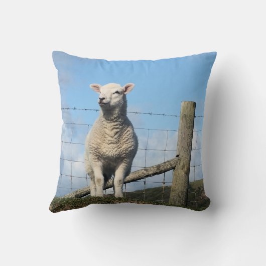 COUSSIN MOQUETTE (Verso)