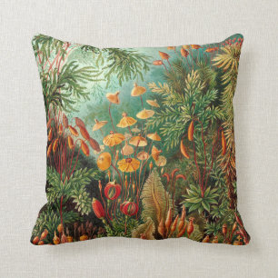 Coussin Moss (Muscinae) par Haeckel