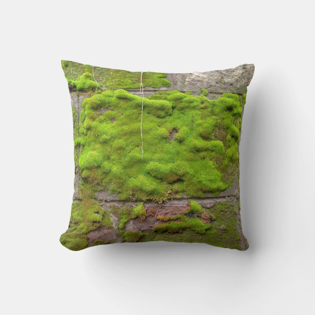 Coussin Moss wall green rock texture (Recto)