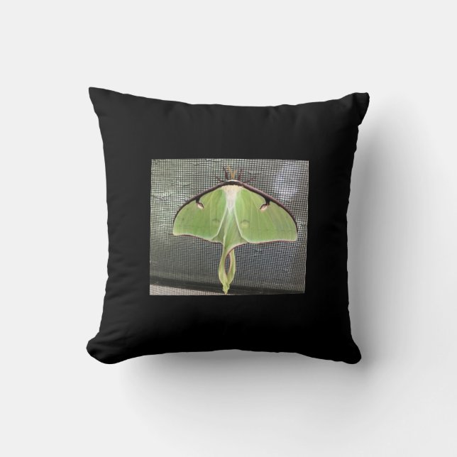 Coussin Moth lunaire (Recto)
