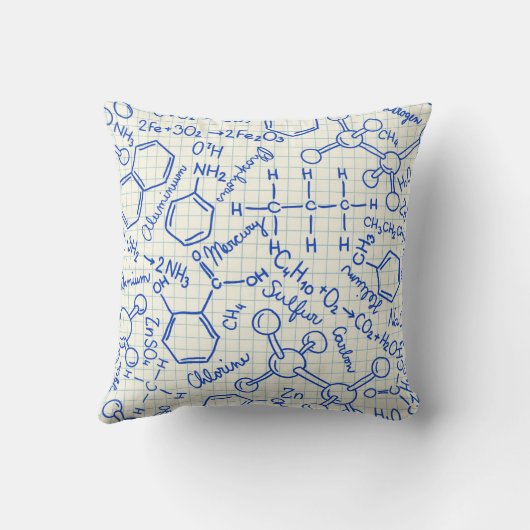 Coussin Motif chimique de l'école (Verso)
