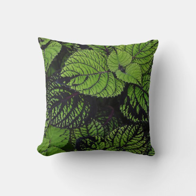 Coussin Motif de feuilles tropicales (Recto)
