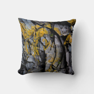 Coussin Motif de géologie crevasses de paroi rocheuse
