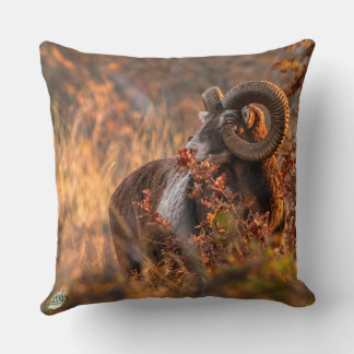 Coussin Mouflon d'automne dans une lumière dorée