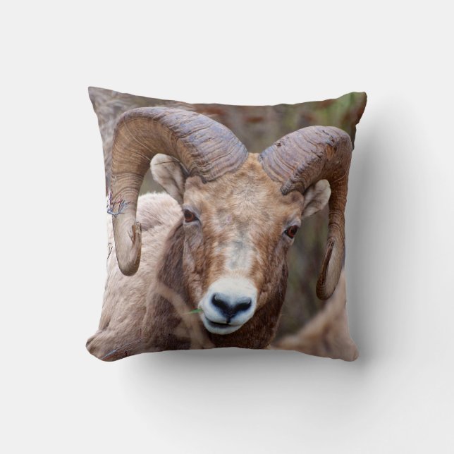 Coussin Mouflon des montagnes rocheuses (Recto)