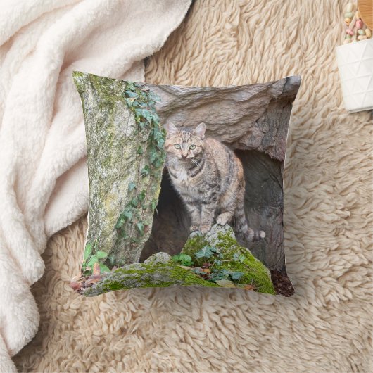 Coussin Mountain Cat (Couverture)
