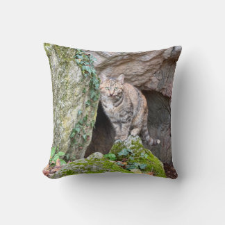 Coussin Mountain Cat