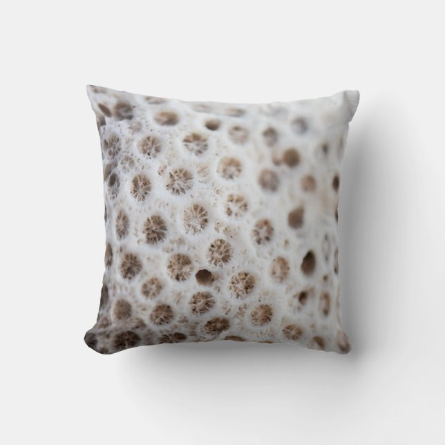 Coussin Mousse (Recto)