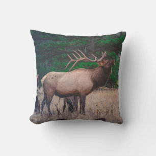 Coussin MOUSSE Brown PRÈS DE L'ARBRE VERT EN JOUR
