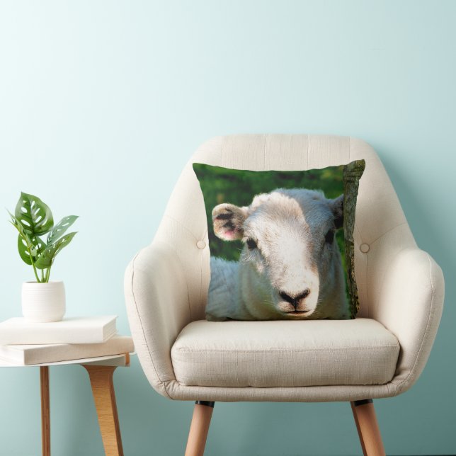 COUSSIN MOUTON PETIT ET MIGNON (Chaise)