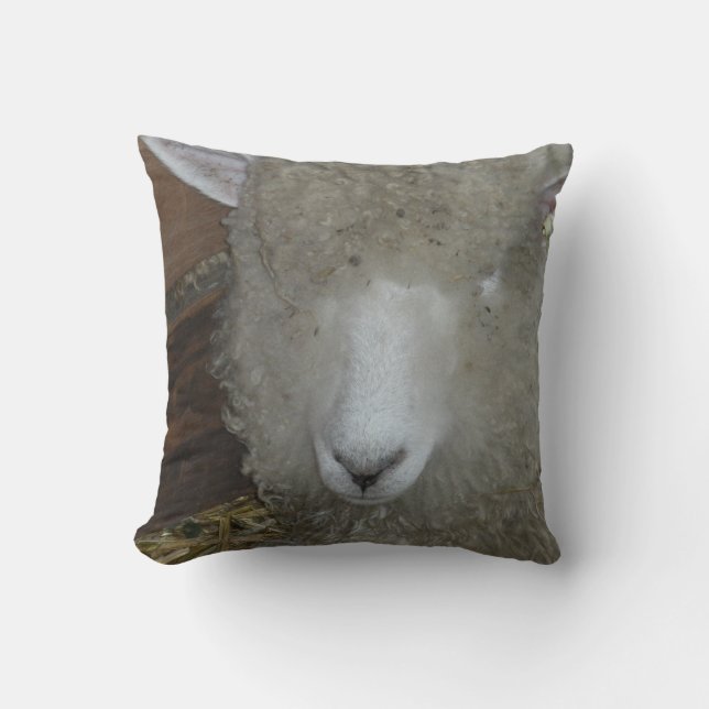Coussin Moutons à la foire du comté (Recto)
