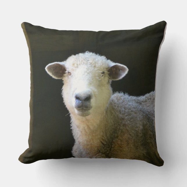 Coussin Moutons adorables (Recto)