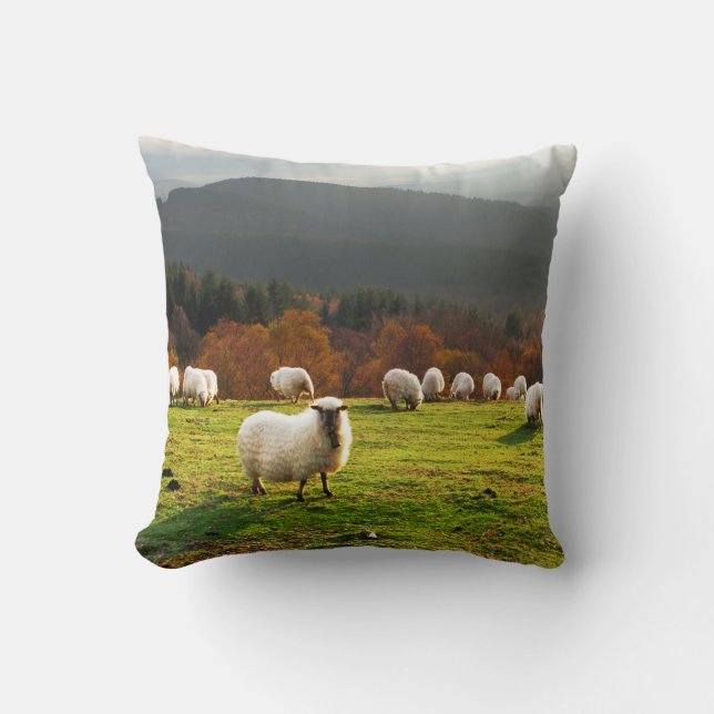 Coussin moutons typiques de latxa de pays Basque (Recto)