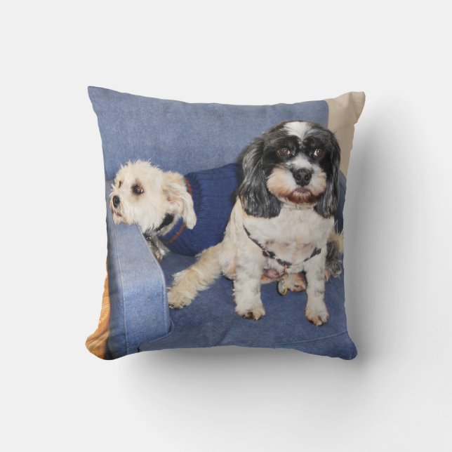 Coussin Muggles - Lhasa Apso (Recto)