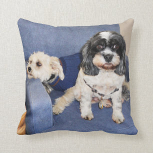 Coussin Muggles - Lhasa Apso