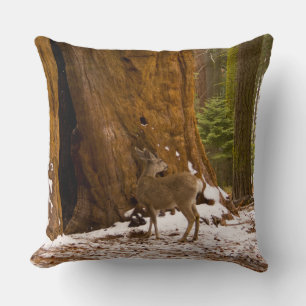 Coussin Mule Deer
