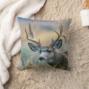 Coussin Mule Deer Buck   Grand Teton National Park Wyoming