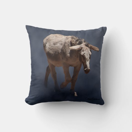 Coussin Mulet sur fond gris fumée (Recto)