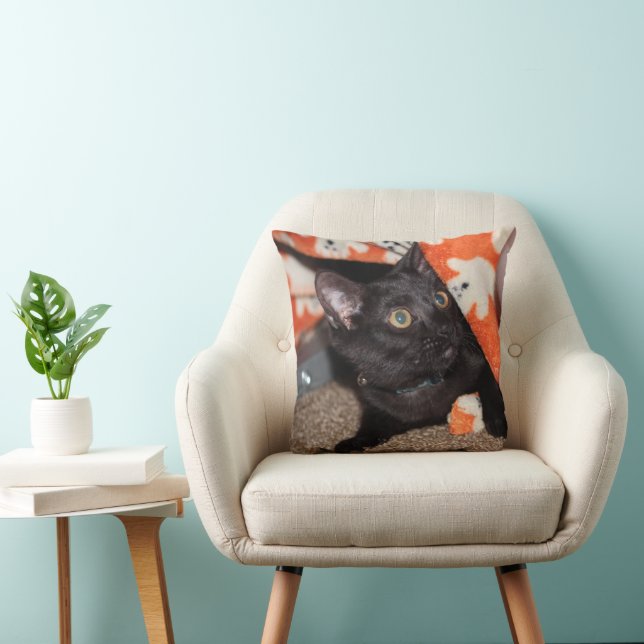 Coussin Murphy lance l'oreiller (Chaise)