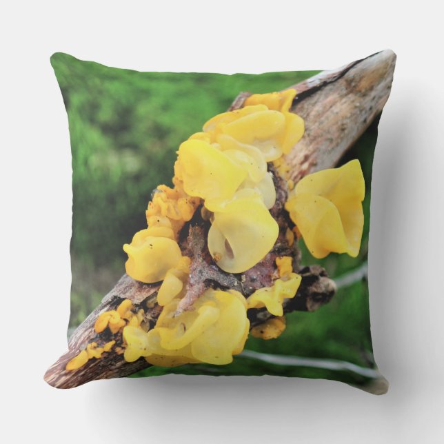 Coussin Mycelium de Crème de Sorcière Jaune (Recto)