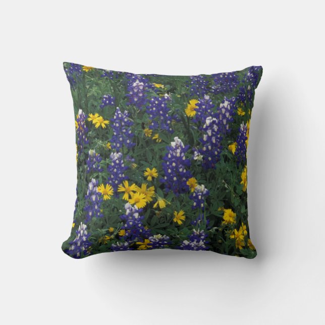 Coussin N.A, États-Unis, Texas, Marble Falls, Bleus Bonnet (Recto)