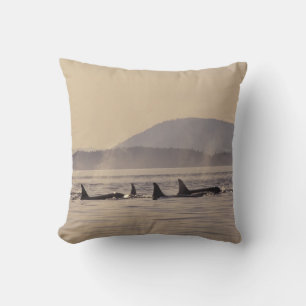 Coussin N.A., États-Unis, Washington, San Juan Islands Orc