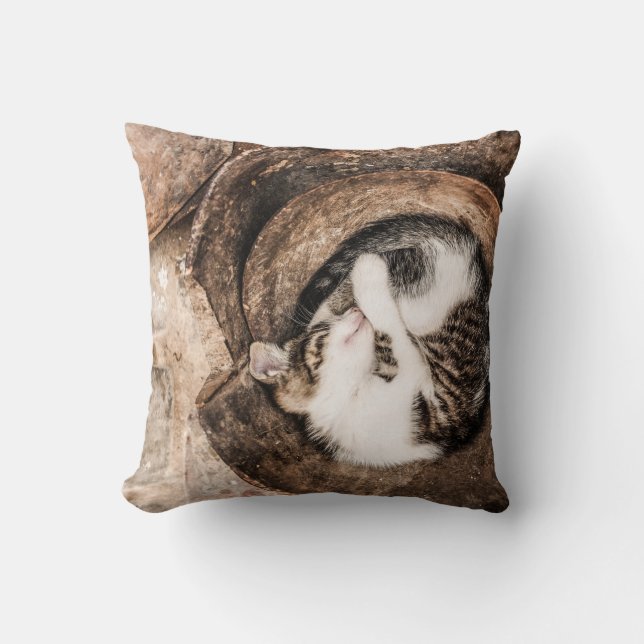 Coussin Nap de chat (Recto)