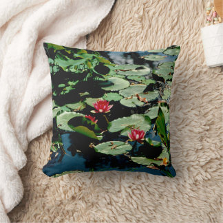 Coussin Nappes D'Eau