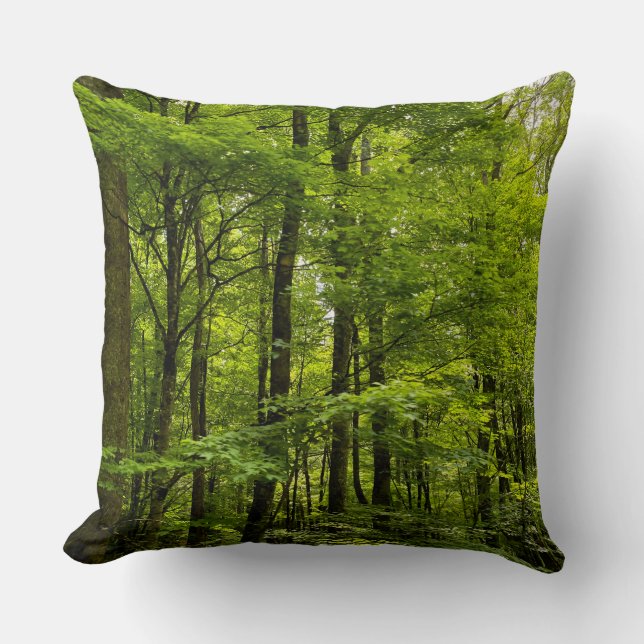 Coussin Nature Été Forêt Verte Photo (Recto)